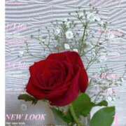 ヒメ日記 2025/05/22 22:48 投稿 矢納あずさ 五十路マダム 愛されたい熟女たち 高松店