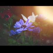 ヒメ日記 2025/07/16 15:24 投稿 矢納あずさ 五十路マダム 愛されたい熟女たち 高松店