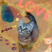 ヒメ日記 2025/06/26 08:59 投稿 楓（かえで） 丸妻 錦糸町店