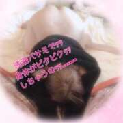 ヒメ日記 2025/11/03 10:38 投稿 楓（かえで） 丸妻 錦糸町店