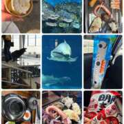 ヒメ日記 2025/11/08 19:38 投稿 楓（かえで） 丸妻 錦糸町店