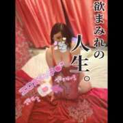 ヒメ日記 2026/03/22 08:44 投稿 楓（かえで） 丸妻 錦糸町店