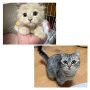 ヒメ日記 2026/03/22 15:45 投稿 楓（かえで） 丸妻 錦糸町店