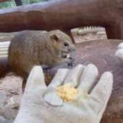 ヒメ日記 2025/07/30 11:39 投稿 なな 涼泉（りょうせん）