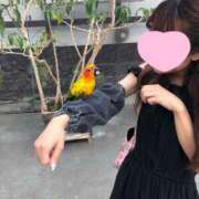 ヒメ日記 2025/08/28 16:58 投稿 なな 涼泉（りょうせん）