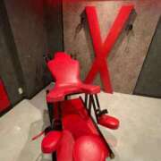 ヒメ日記 2025/09/27 16:59 投稿 なな 涼泉（りょうせん）