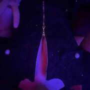 ヒメ日記 2025/06/10 20:10 投稿 なな Hera club