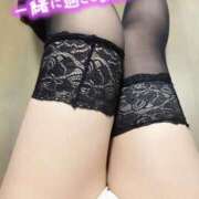 ヒメ日記 2025/05/10 09:41 投稿 ゆの MOTHER(旧ママとおねえさん)