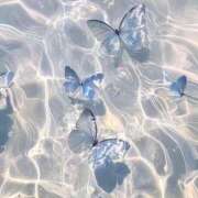 まりあ はじめまして︎💕︎ ルピナス