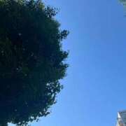 ヒメ日記 2025/05/09 08:45 投稿 最上アノ ハールブルク