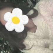 ヒメ日記 2026/04/11 12:38 投稿 光紗（ありさ） 女々艶 大和店