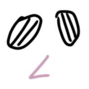 ヒメ日記 2025/05/28 21:52 投稿 くるる☆ 豊橋豊川ちゃんこ