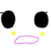 ヒメ日記 2025/05/29 15:22 投稿 くるる☆ 豊橋豊川ちゃんこ