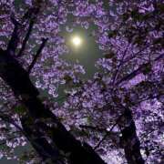 ヒメ日記 2025/05/30 08:22 投稿 くるる☆ 豊橋豊川ちゃんこ