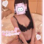 ヒメ日記 2025/04/28 08:18 投稿 月宮（つきみや） 今日、私はあなたの部下（マーベリックグループ）