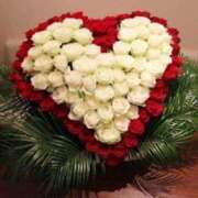 ヒメ日記 2025/05/06 13:02 投稿 みなみ 佐賀人妻デリヘル 「デリ夫人」