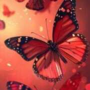 ヒメ日記 2025/05/07 11:49 投稿 みなみ 佐賀人妻デリヘル 「デリ夫人」