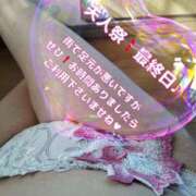 ヒメ日記 2025/05/09 18:11 投稿 みなみ 佐賀人妻デリヘル 「デリ夫人」