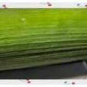 ヒメ日記 2025/06/08 07:32 投稿 みなみ 佐賀人妻デリヘル 「デリ夫人」