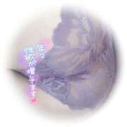 ヒメ日記 2025/06/14 09:19 投稿 みなみ 佐賀人妻デリヘル 「デリ夫人」