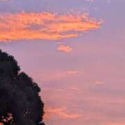 ヒメ日記 2025/06/18 06:08 投稿 みなみ 佐賀人妻デリヘル 「デリ夫人」