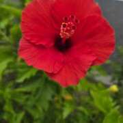 ヒメ日記 2025/08/04 11:51 投稿 みなみ 佐賀人妻デリヘル 「デリ夫人」