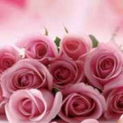 ヒメ日記 2025/09/27 08:46 投稿 みなみ 佐賀人妻デリヘル 「デリ夫人」