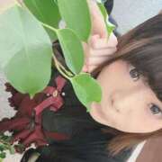 ヒメ日記 2025/06/01 19:25 投稿 しょこら キュート東京 五反田店