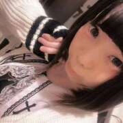 ヒメ日記 2025/12/11 15:01 投稿 しょこら キュート東京 五反田店