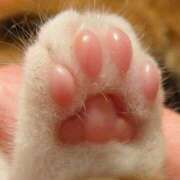 ヒメ日記 2025/10/20 15:30 投稿 かすみ 奥鉄オクテツ奈良