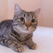 ヒメ日記 2025/11/05 18:40 投稿 かすみ 奥鉄オクテツ奈良