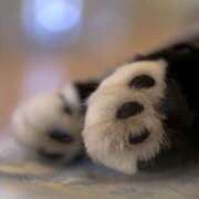 ヒメ日記 2026/03/22 12:40 投稿 かすみ 奥鉄オクテツ奈良