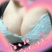 ヒメ日記 2025/06/12 16:40 投稿 あんり 寝取られ巨乳妻