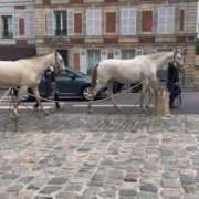 ヒメ日記 2026/01/04 13:19 投稿 【G】かすみ ウルトラセレブリティ