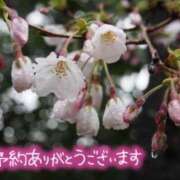 ヒメ日記 2025/04/23 18:22 投稿 武藤 華恋人(カレント)