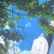 ヒメ日記 2025/04/29 14:40 投稿 武藤 華恋人(カレント)