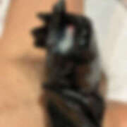 ヒメ日記 2026/03/11 22:58 投稿 蔦屋うるは＠M男センサー発動！ アナラードライ