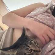 ヒメ日記 2025/09/22 13:11 投稿 みこ 厚木人妻城