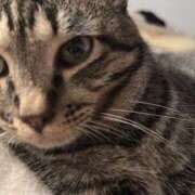 ヒメ日記 2025/10/19 18:21 投稿 みこ 厚木人妻城