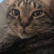 ヒメ日記 2025/11/14 22:06 投稿 みこ 厚木人妻城