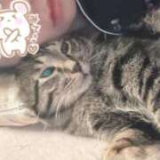 ヒメ日記 2026/04/21 21:43 投稿 みこ 厚木人妻城