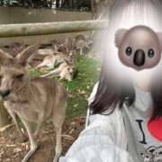 ヒメ日記 2025/05/15 21:00 投稿 Kashu THE PREMIUM （プレミアム）