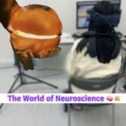 ヒメ日記 2025/10/11 20:58 投稿 Kashu THE PREMIUM （プレミアム）