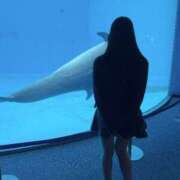 ヒメ日記 2025/11/13 21:19 投稿 Kashu THE PREMIUM （プレミアム）