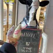 ヒメ日記 2026/01/30 23:50 投稿 Kashu THE PREMIUM （プレミアム）