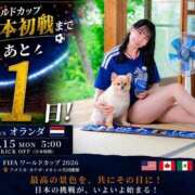 Kashu 明日朝5時☀️ THE PREMIUM （プレミアム）