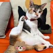 ヒメ日記 2025/05/18 11:59 投稿 黒川 おふくろ