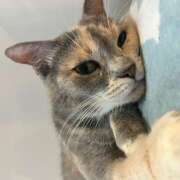 ヒメ日記 2025/06/08 10:22 投稿 黒川 おふくろ