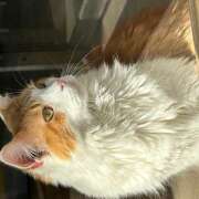 ヒメ日記 2025/08/19 23:57 投稿 黒川 おふくろ