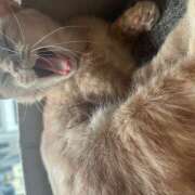 ヒメ日記 2025/08/27 11:26 投稿 黒川 おふくろ